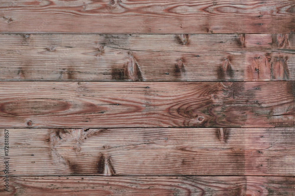 Obraz premium Natural wood wall texture