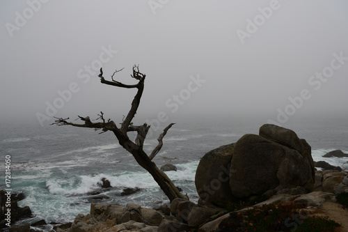 Coastline along the 17 Mile Drive in overcast day