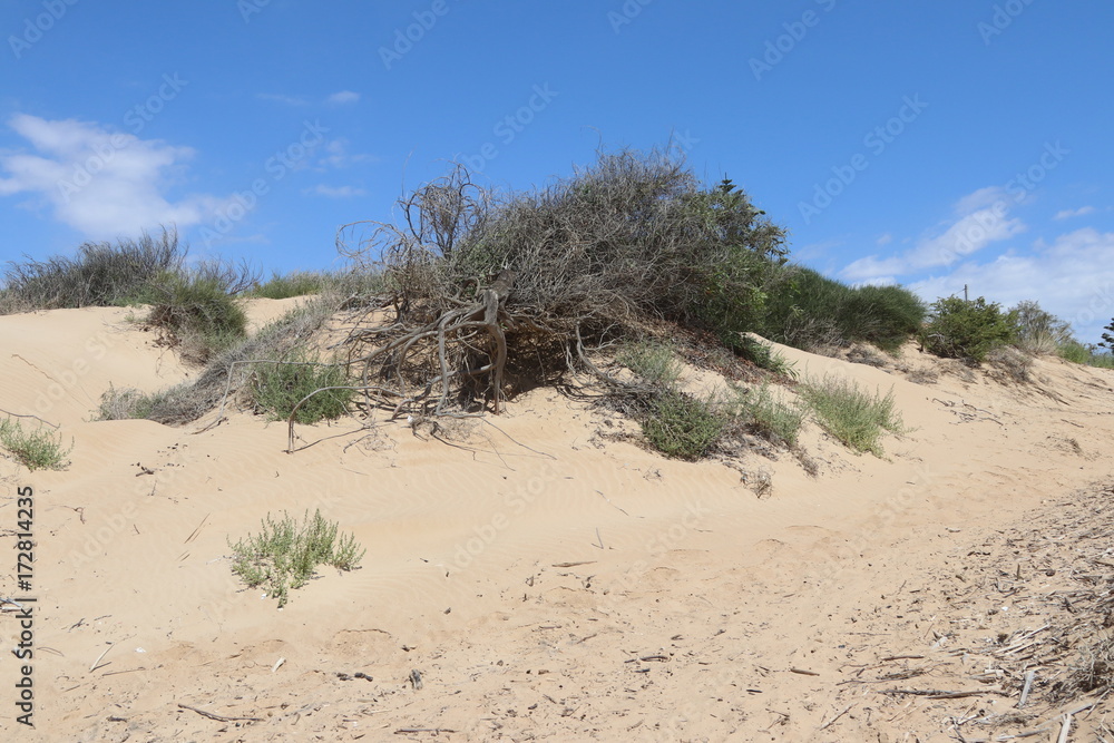 Dune di sabbia