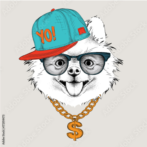 The poster with the image dog portrait in hip-hop hat. Vector illustration of chihuahua