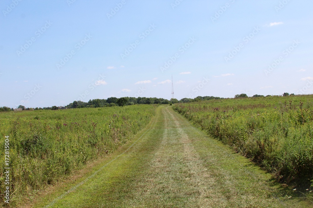 The long path in the grass field of the park in the country.