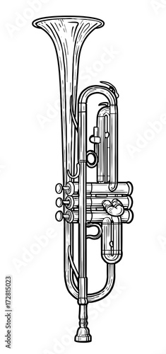 Trumpet illustration, drawing, engraving, ink, line art, vector