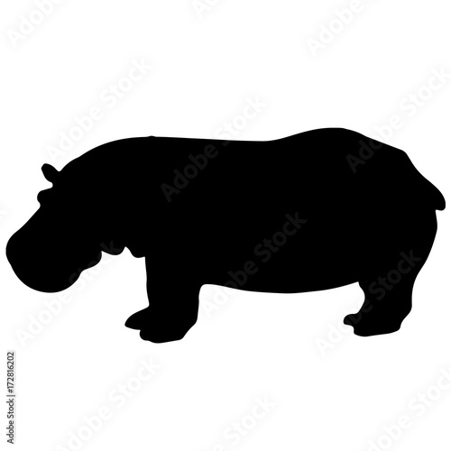 black and white vector hippo silhouette