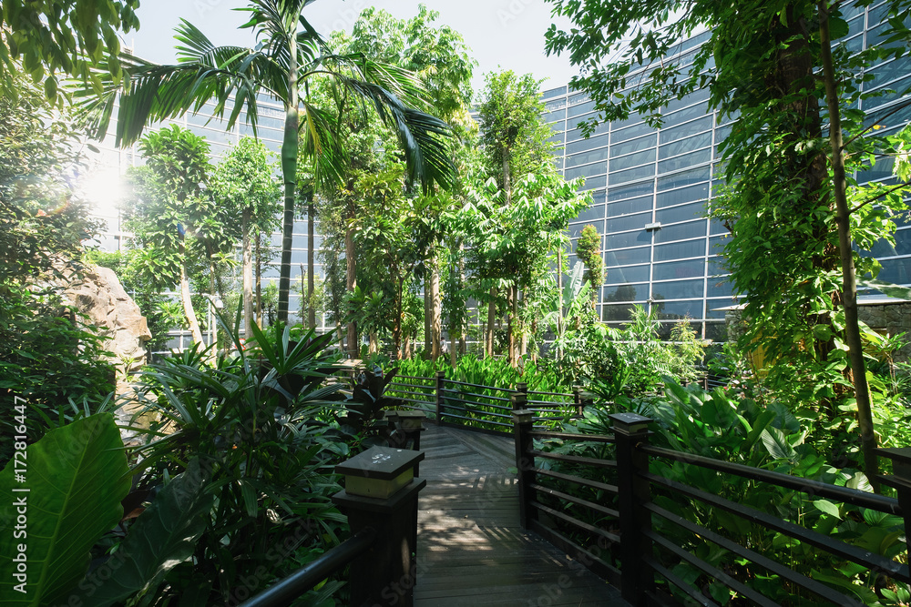 Fototapeta The garden at Kuala Lumpur International Airports (KLIA) terminal in Malaysia