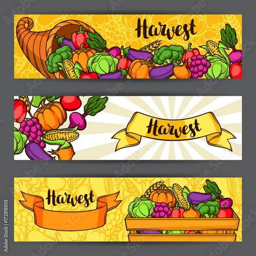 Fototapeta Naklejka Na Ścianę i Meble -  Harvest festival banners. Autumn illustration with seasonal fruits and vegetables