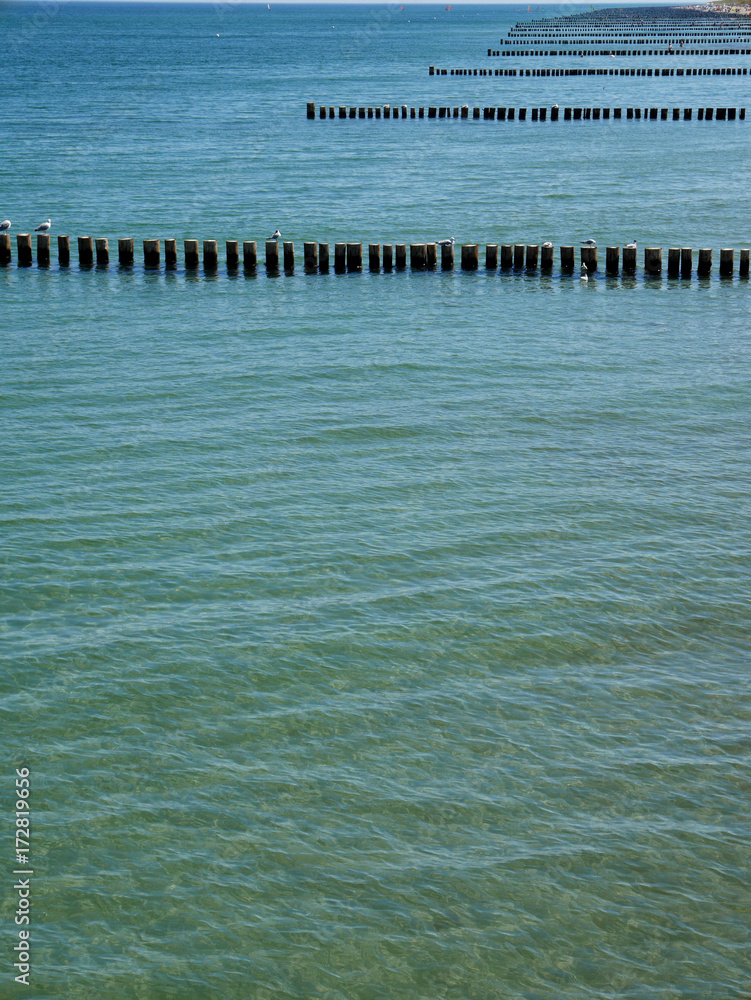 Fototapeta premium ocean