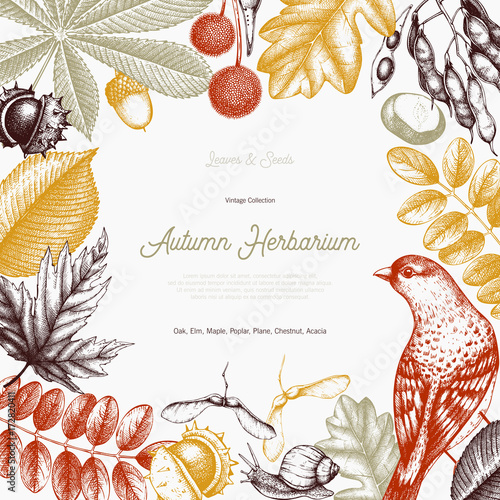 Vintage card design with bird. Hand drawn leaves and seeds illustration. Vector autumn template. Wedding invitation. 