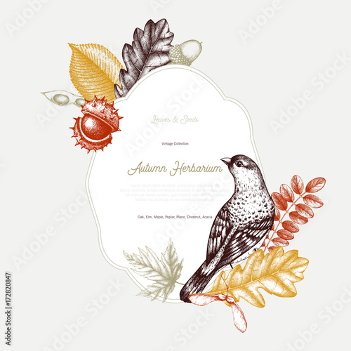Vintage card design with bird. Hand drawn leaves and seeds illustration. Vector autumn template. Wedding invitation. 