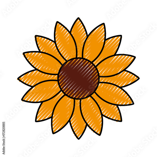 flower natural floral season icon vector illustration