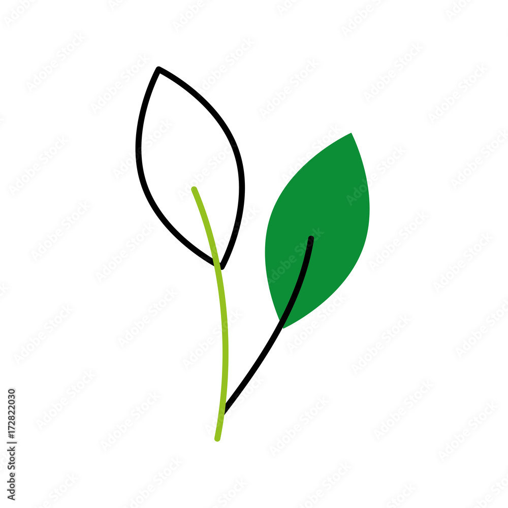 autumn tree branch leaves foliage botanical image vector illustration autumn tree branch leaves foliage botanical image vector illustration