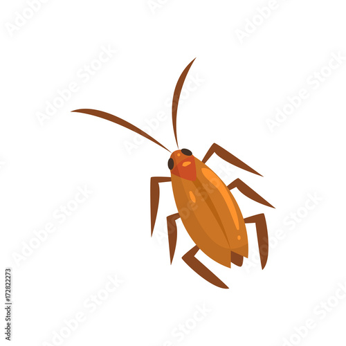 Brown cockroach insect cartoon vector illustration