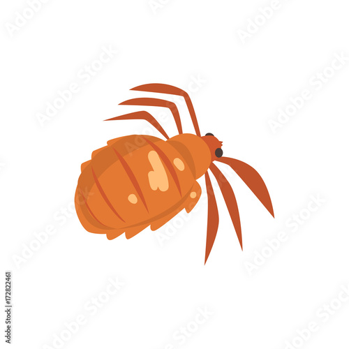 Head louse insect parasite cartoon vector illustration