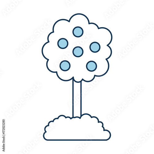 tree with fruit natural forest environment concept vector illustration