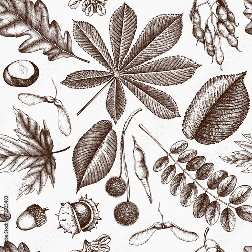Seamless pattern with hand drawn leaves and seeds sketch. Vector autumn background. Vintage bird illustration.