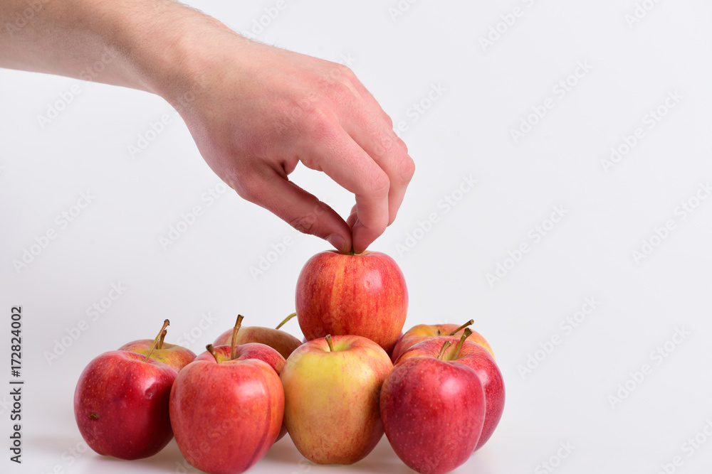 custom made wallpaper toronto digitalApples on light grey background. Apples in bright juicy color