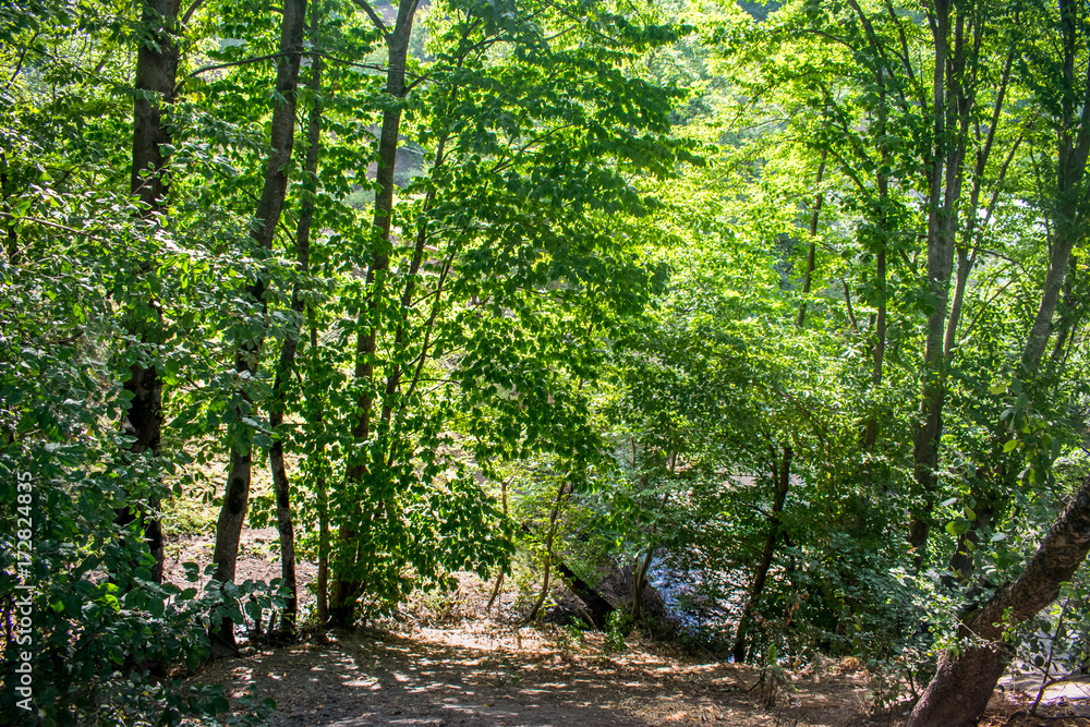 forest rocky and beautiful landscape, asia azerbaijan forest rocky and beautiful landscape, asia azerbaijan