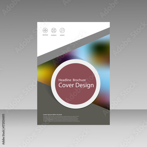 Vector Brochure Design Layout template  © gaisonok