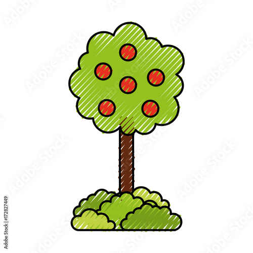 tree with fruit natural forest environment concept vector illustration