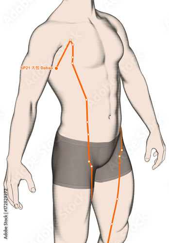 Drawing Acupuncture Point SP21 Dabao, 3D Illustration photo