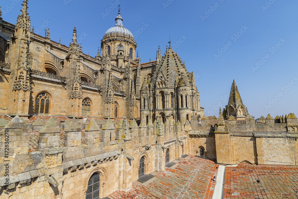 View of upper side of Salamanca Old and New Cathedrals, Community of Castile and León, Spain.  Declared a World Heritage Site in 1988