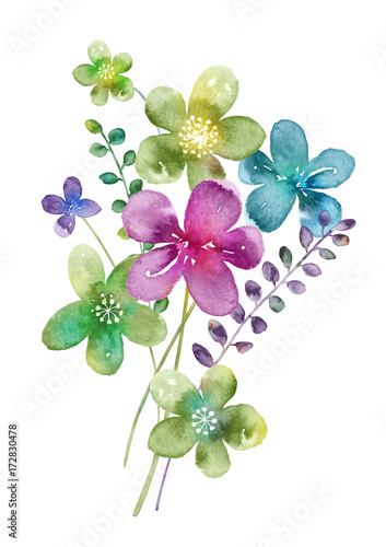 Watercolor flowers set. Hand drawn floral elements isolated on white background. Fantasy flowers  leaves and branch collection.