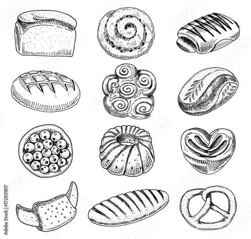 bread and pastry donut, long loaf and fruit pie. sweet bun or croissant, bagels and toasts. engraved hand drawn in old sketch and vintage style for label and menu bakery shop. organic food.
