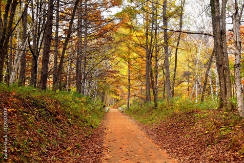秋の高原の遊歩道　乗鞍高原 © kikisora