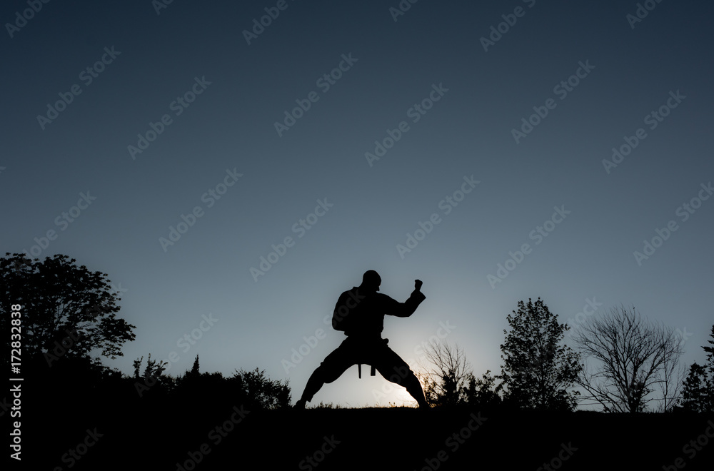 Martial Artists Silhouette - Forearm Block