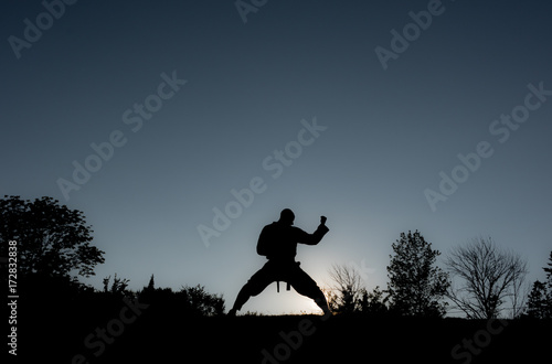 Martial Artists Silhouette - Forearm Block photo