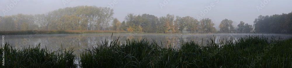 Morning foggy pound in the countryside in the autumn Morning foggy pound in the countryside in the autumn