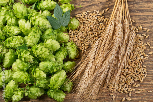 Hop Cones with Barley on the Woden Desk