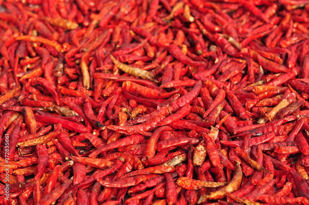 Fototapeta premium Red Spicy Chile