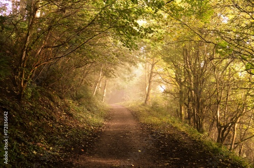 A hiking trail in the English Peak District.