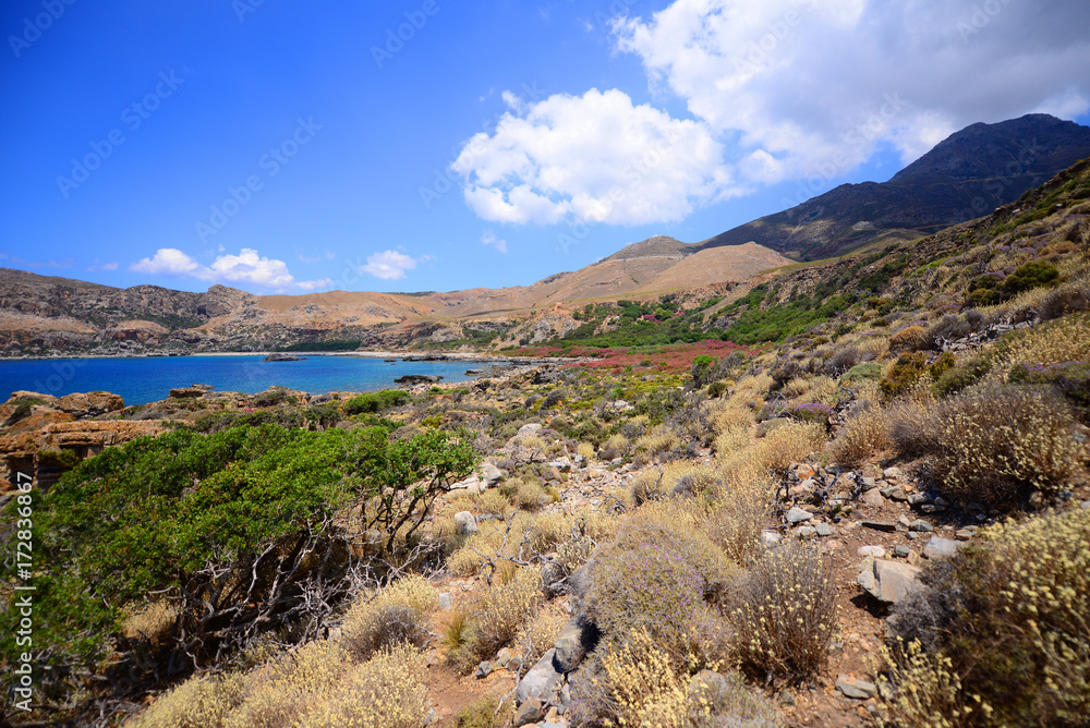 Naklejka premium Mediterranean landscape