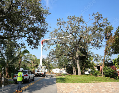 Hurricane Irma debris workers using bucket trucks to go through neighborhoods cleaning up and removing damage tree limbs.