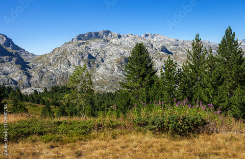 Serene landscape in the mountains of Montenegro
