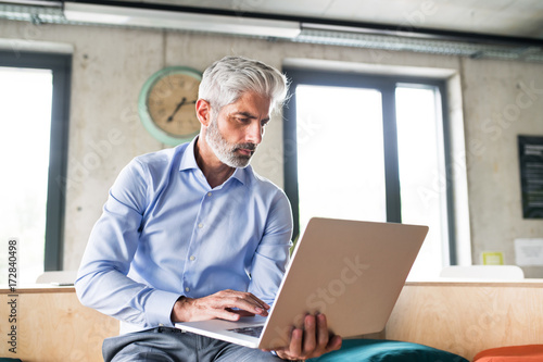 Mature businessman with laptop in creative office.