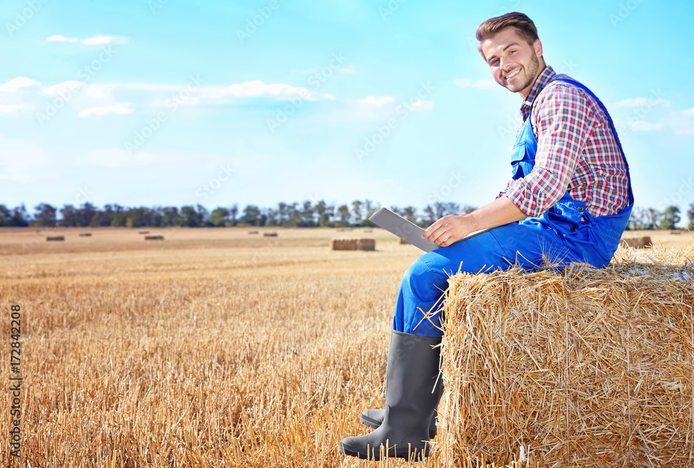 Obraz premium Young male farmer holding laptop in wheat field