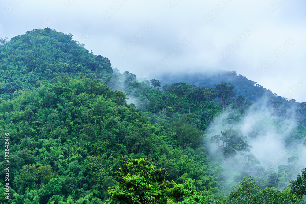 Beautiful green mountains covering with rain and fog in rainy season , Udon Thani , Thailand