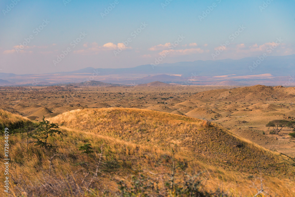 Landscape of Tanzania ,behind is Mount Kilimanjaro ,the highest mountain of Africa