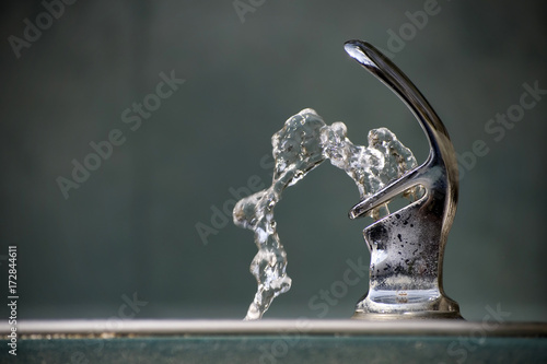 Drinking Water Flowing from a Fountain