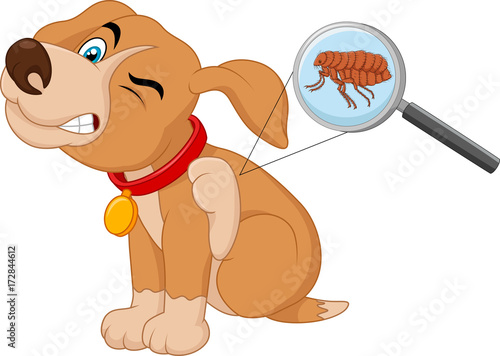 Vector illustration of flea Infested Dog