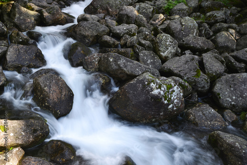 creek in mountain