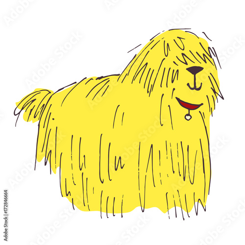 Shaggy dog vector hand drawn illustration