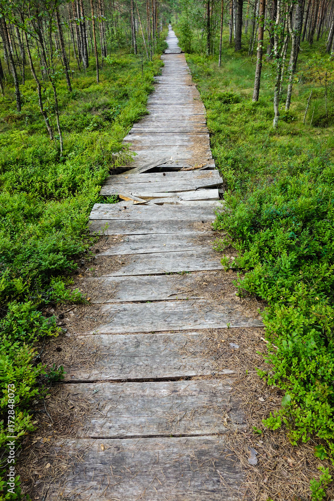 Nature hiking trail with broken wood boards