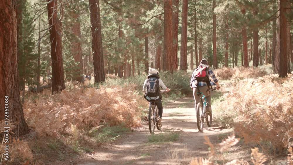 Smiling couple cycling through a forest together, back view Smiling couple cycling through a forest together, back view