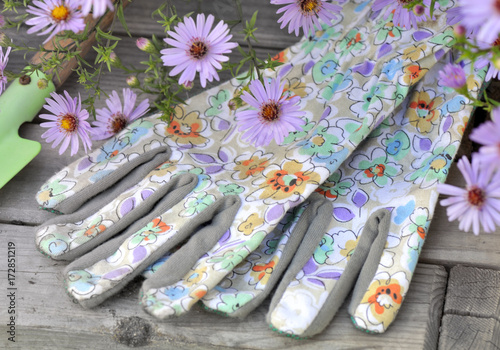 gants de jardinage et fleurs mauves