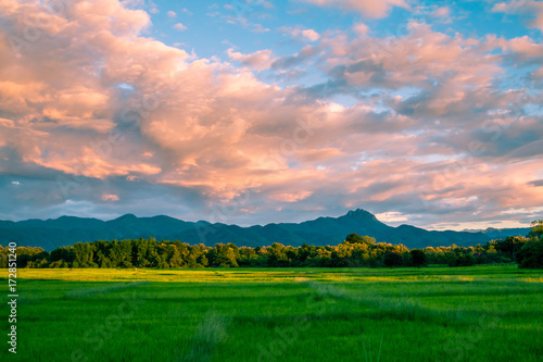 Beautiful sunset and dark clouds on rice fields with trees and big mountain background in Phrae Thailand.