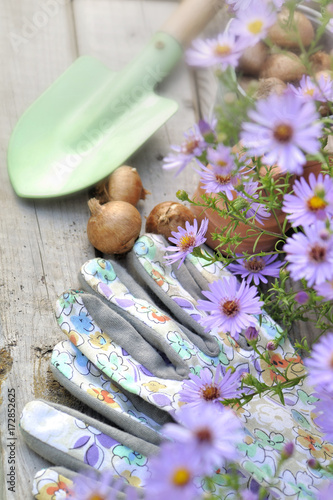 accessoires de jardinage et fleurs mauves