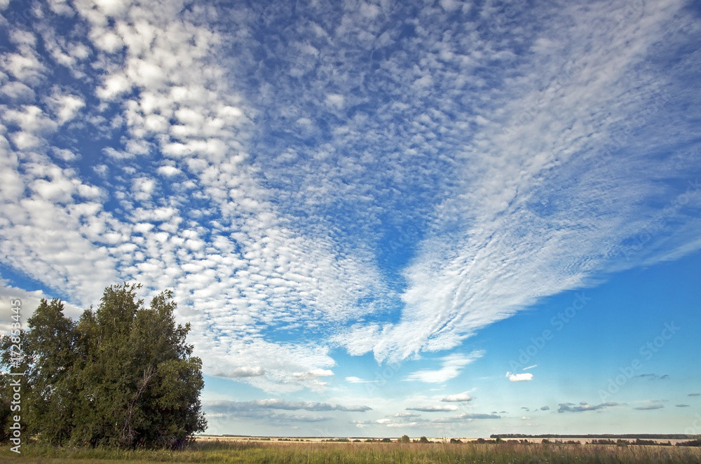 beautiful clouds in the blue sky float over the fields